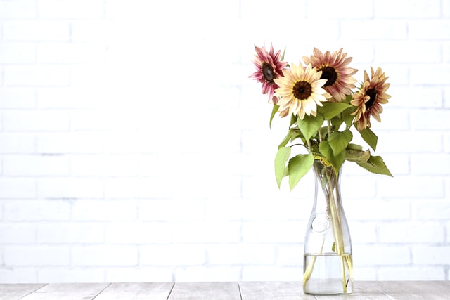 cath-smith-PF5_cqOQFT4-unsplash (2) (1)