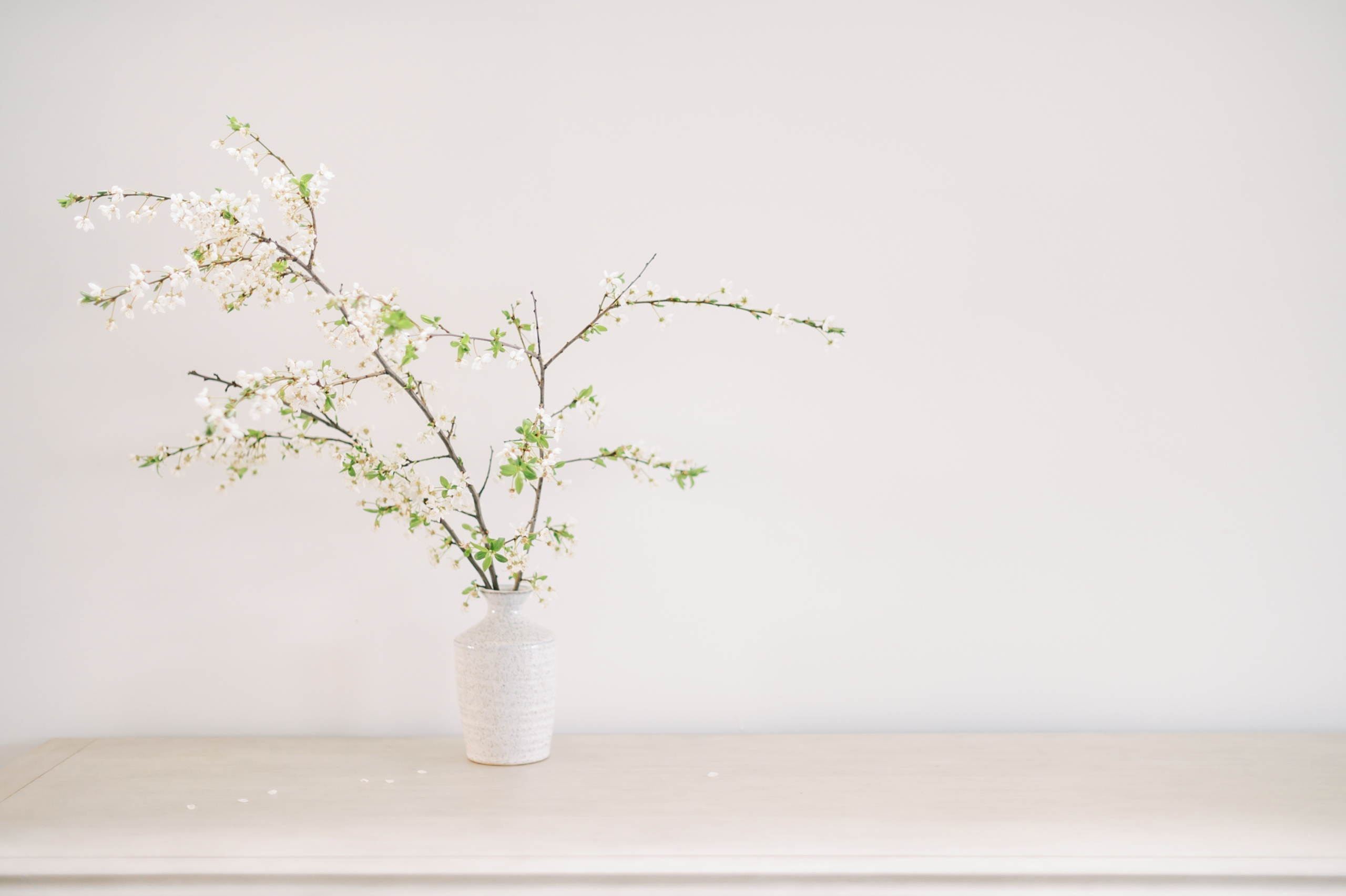 haute-stock-photography-spring-at-home-final-15
