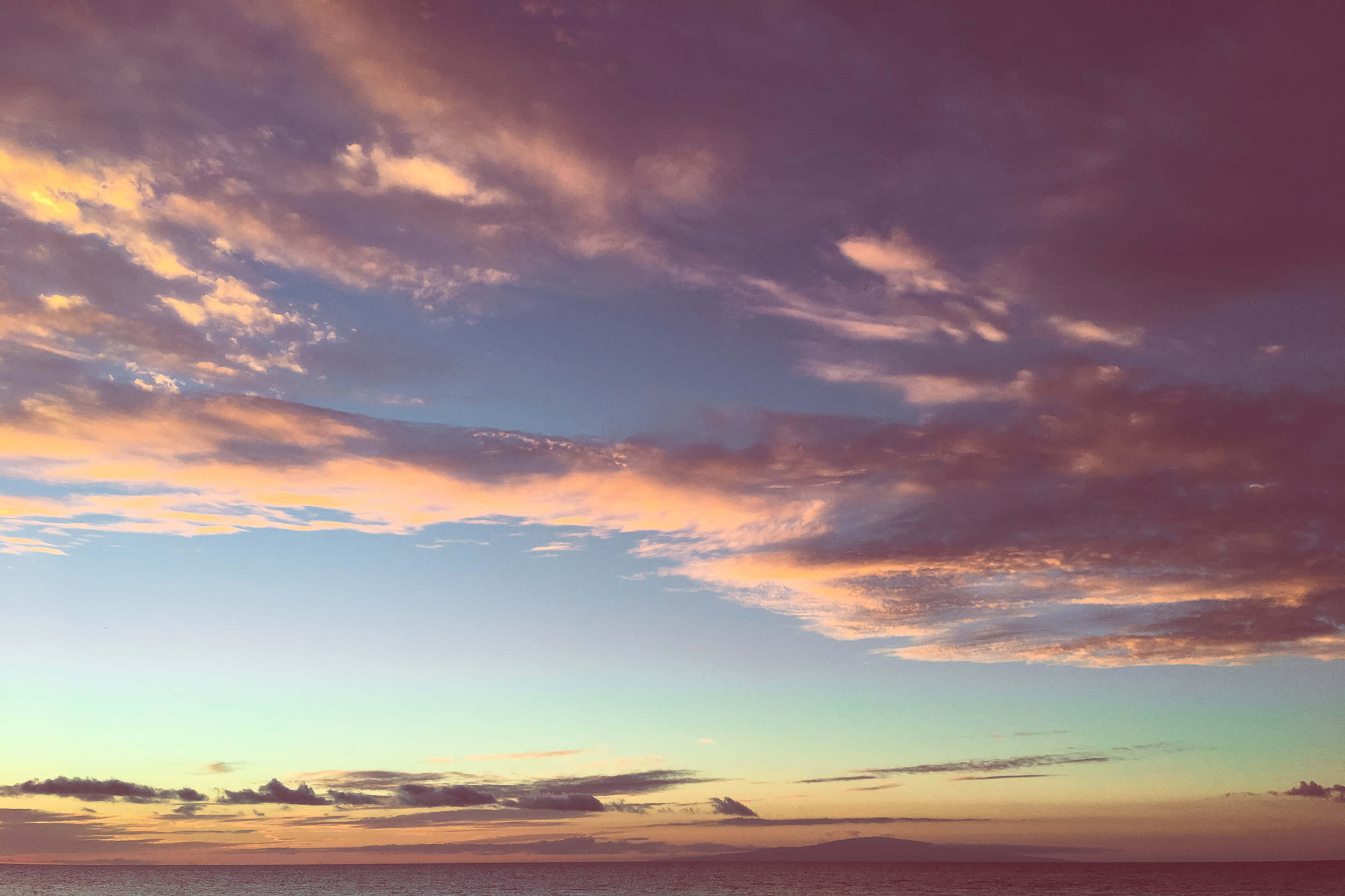 haute-stock-photography-tropical-vibes-final-9 (2)