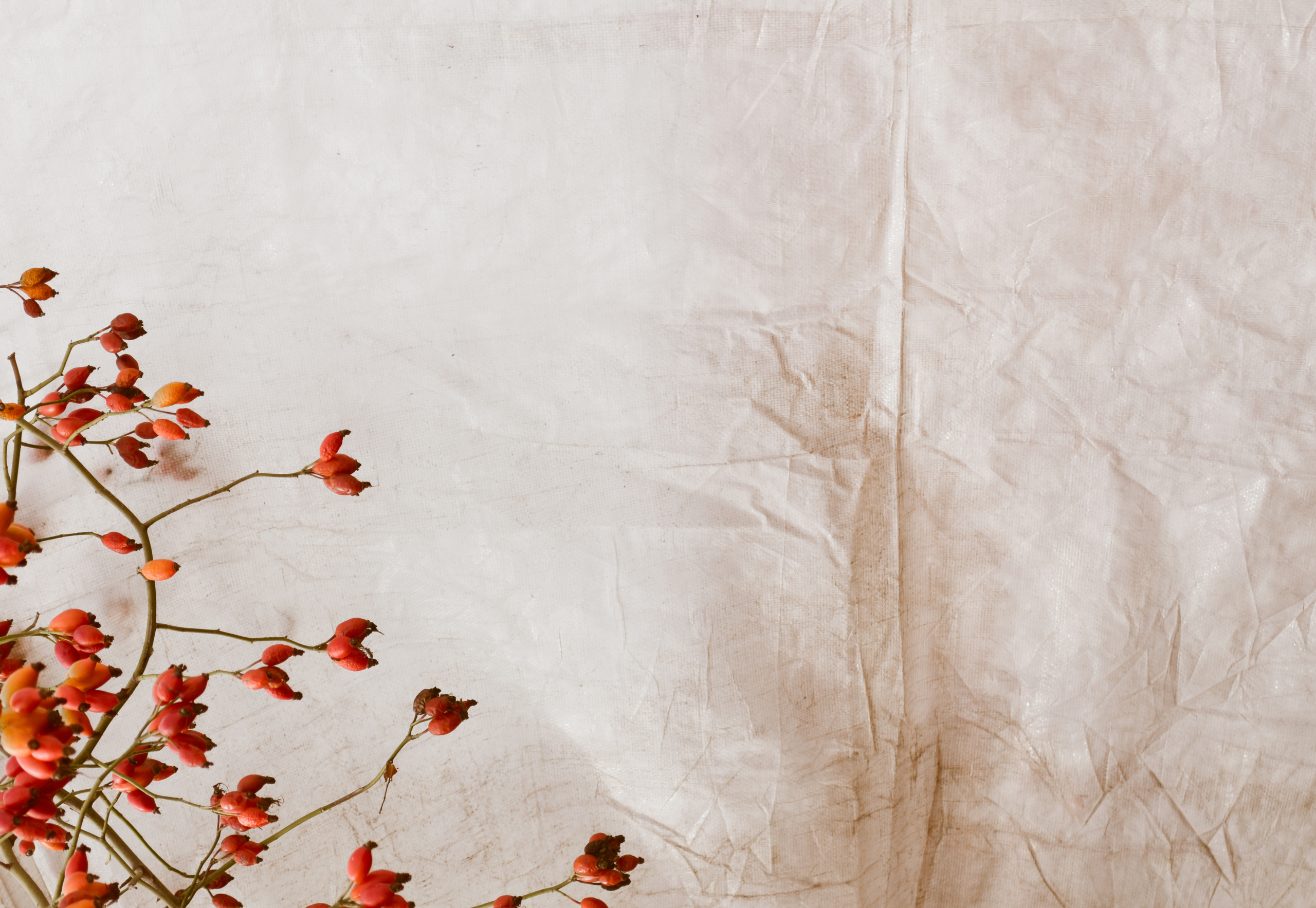 haute-stock-photography-subscription-terracotta-collection-final-12 (1)